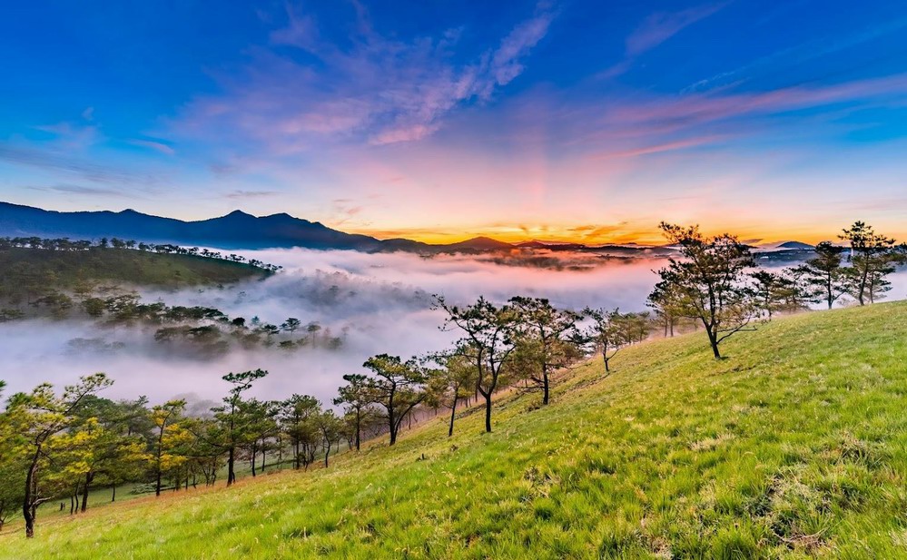 How to plan a cheap visit to Dalat yourself