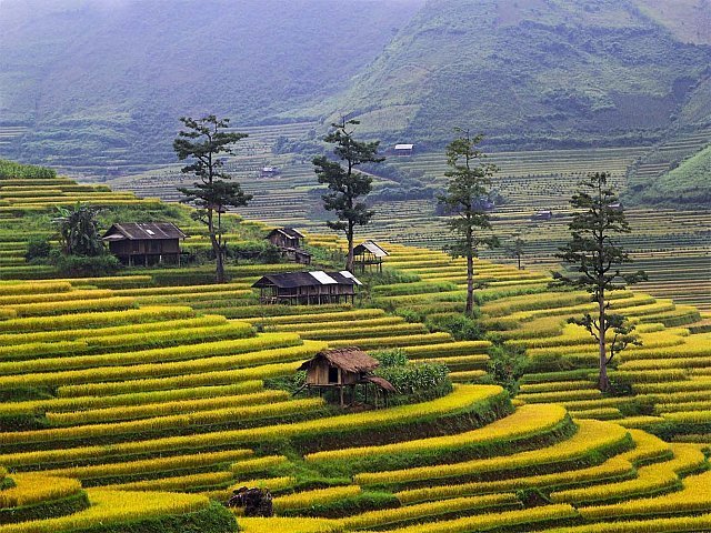 Vietnam Travel 107