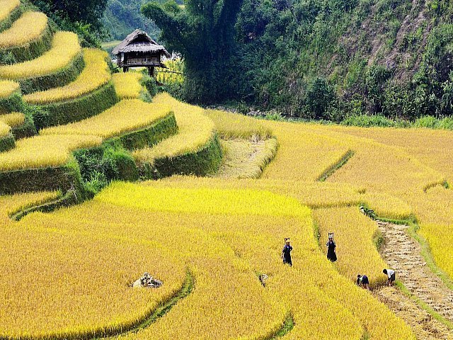 Vietnam Travel 109