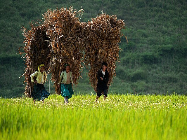Vietnam Travel 51