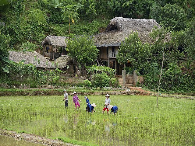 Vietnam Travel 65